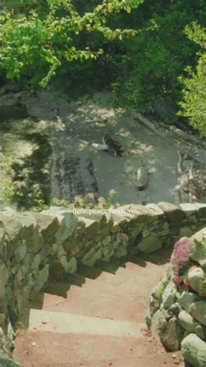 📍Salt Spring Island #coastalretreat #slowtravel #vancouverisland #wellnesstravel #ecoluxury