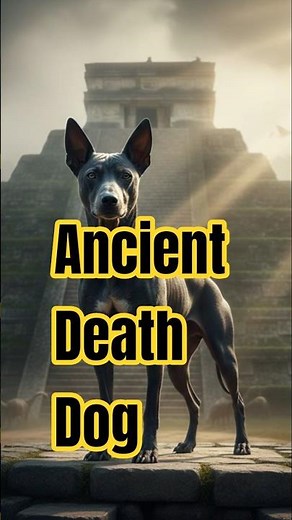 The Dog That Guides Souls | Xoloitzcuintli Aztec Legend
