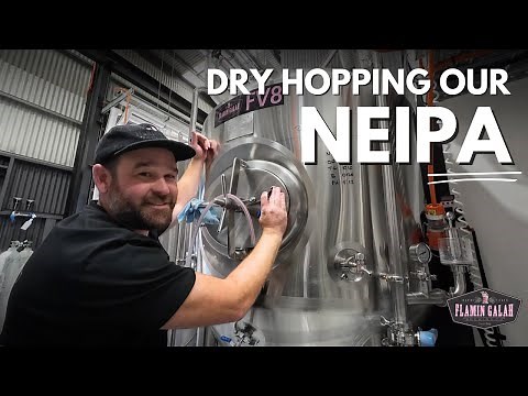 The Ultimate Guide To Dry Hopping - NEIPA