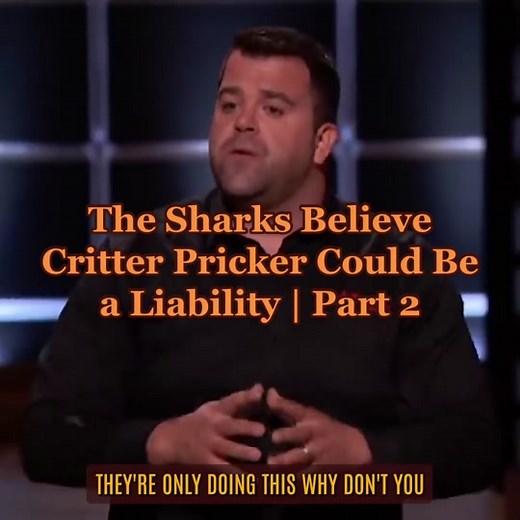 Innovative Critter Pricker Solution for Raccoon Infestation