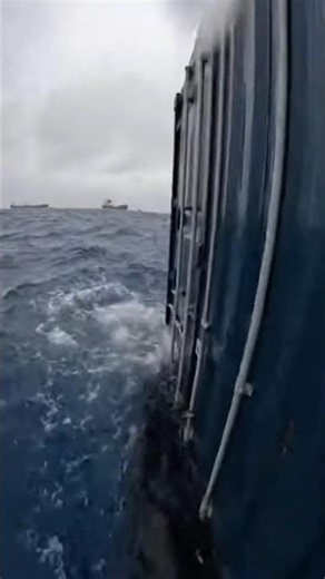 Sealed Cargo Container Drifting at Sea… Then They Opened It