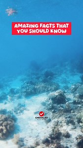 AMAZING FACTS THAT YOU SHOULD KNOW | Checklist Studio