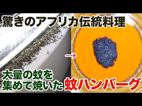 A surprising traditional African dish: "Mosquito hamburger" made from mosquitoes