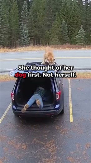 A Mountain Lion Charged at Me—I Grabbed My Dog and Jumped in the Trunk! #shorts