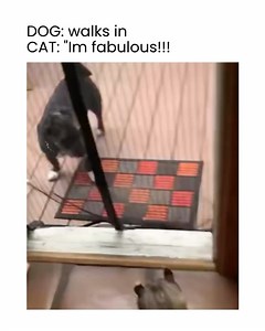 Cuddle Clones on Reels