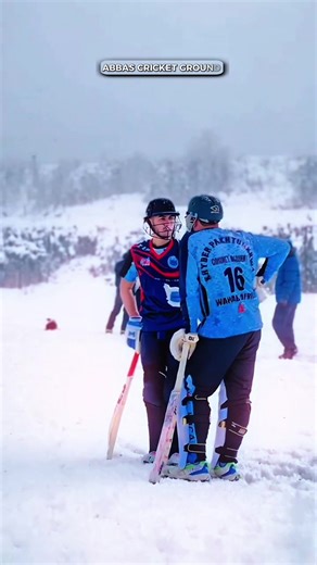 Playing Cricket in a Snowy Pitch