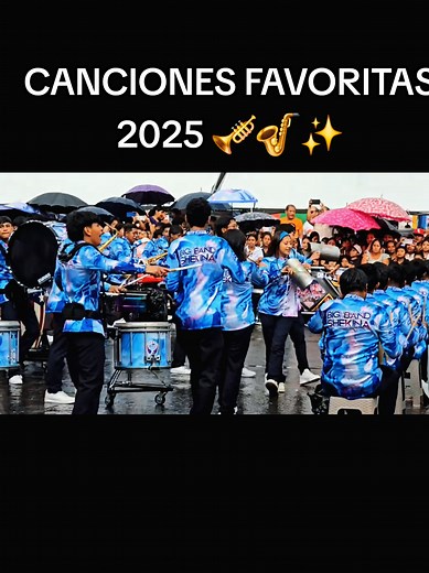 Canciones Favoritas 2025: Lo Mejor de Bandas de Guatemala