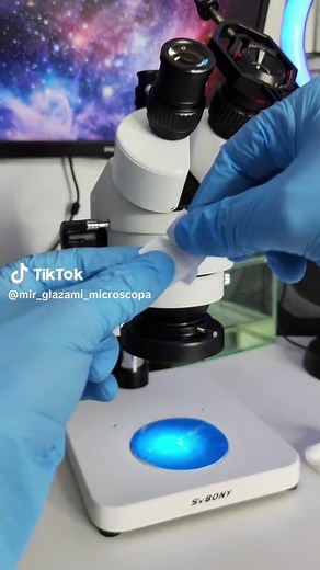 Microscope Maintenance Tips for Optimal Performance