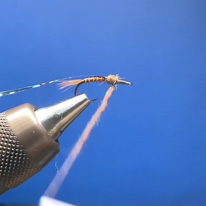 7.9K views · 188 reactions | Biot Body Nymph- simple tie that can minic a variety of mayflies. Just change the color of the biot and dubbing. This one tied as a split case PMD. Hook: sizes 14-20 (size 16 FH718 in this video) Tail/Legs: Whiting Brahma Body: Turkey or goose biot Wingcase: Medium/Large holographic tinsel Resin: Solarez Dijon Mustard UV resin Thorax: Rabbit dubbin | The Tao of Flies | Facebook