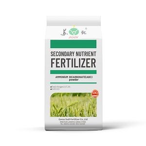 [Hot Item] 17.1% Ammonium Bicarbonate Secondary Nutrient Fertilizer Scientific Formula