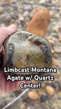 Montana Agate #agate #montana #adventure #rockhounding #outdoors #yellowstoneriver #dog #treasure