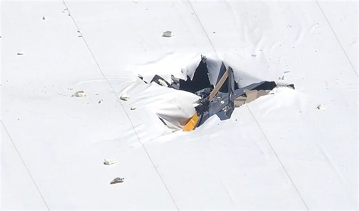Lansing man among 2 dead in Florida helicopter crash, CBS
