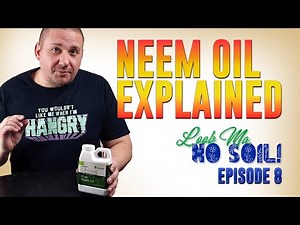 How To MIX and USE NEEM OIL to Control Pests and Disease. Look Ma, No Soil - Episode 8