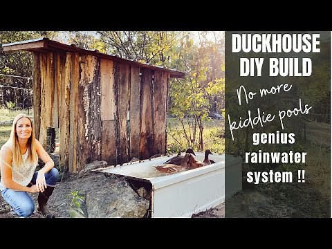 Building a duck house with pool | Simple duck house ideas