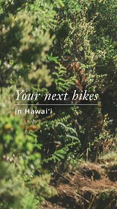 19K views · 266 reactions | A visit to Hawai‘i isn’t complete without a hike. With hundreds of trails across the state, there are options for every age and skill level to enjoy—often with panoramic views. Just make sure to choose an official hike, stay on the trail, and take lots of pics! Tip: bring a friend (or three). | Hawaii – gohawaii.com | Facebook