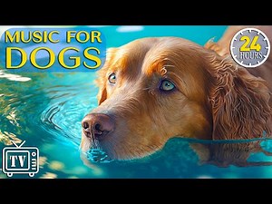 24 Hours of Calming Music for Dogs with Anxiety: Sleep Music for Anxious Dog & Stress with Dog Music