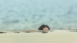 2.4M views · 10K reactions | When the mermaid lands on the earth! #junjihyun #kdrama #mermaid | Sassy Girl Jun Ji-Hyun -전지현 Bangladeshi Fan | Facebook