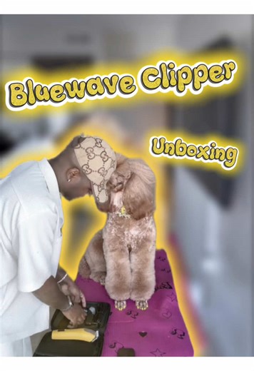 Bluewave Clipper Unboxing Review: Is It Worth It?