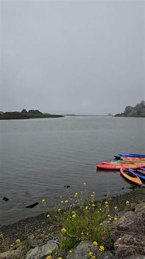 Russian Riverkeeper on Instagram: "Happy World Wetlands Day! Wetlands in places like the Laguna de Santa Rosa and the estuary near Jenner play an important role in filtering pollutants, trapping sediment, and slowing runoff before reaching the mainstem and flowing downstream to the ocean. Unfortunately, the Russian River Watershed has already lost a significant portion of our natural wetlands due to human impacts (e.g., gravel mining, stream channelization, and encroaching development decisions)