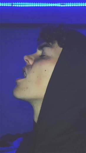 Noah Beck's Catchy Song Dance Moments