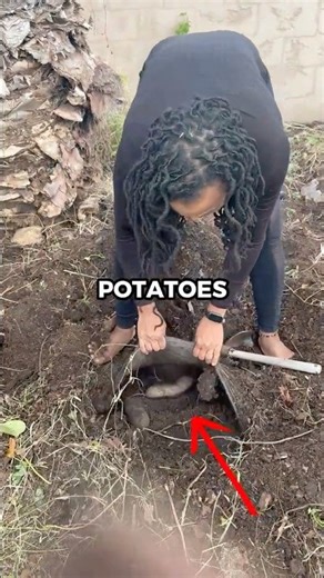 She thought it was just potatoes… 🥔😲