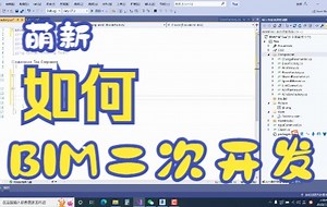 【BIM】Revit2020萌新入门课程——API基础（二）