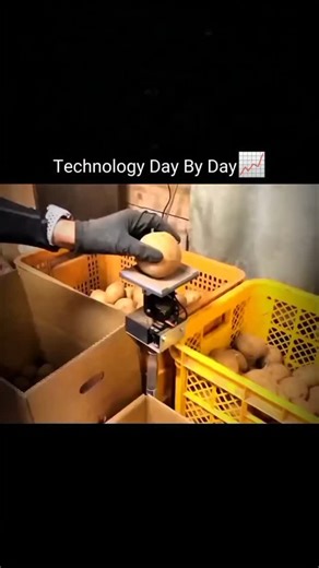 LuckEditZ on Instagram: "A revolutionary potato sorting machine is changing the game in Pakistan's agricultural industry. This innovative device uses advanced technology to categorize potatoes into three separate bins: good, bad, and half-bad. The machine's sensors detect even the slightest imperfections, ensuring that only the best potatoes make it to the market. The bad potatoes are separated and can be used for animal feed or other purposes, reducing waste and increasing efficiency. The half-