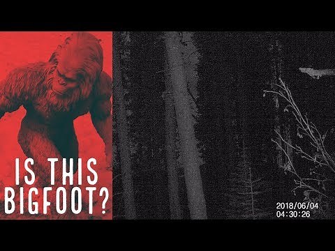 STRANGE CREATURE Caught on Tape at Bigfoot Research Site - Mountain Beast Mysteries (Episode 54)