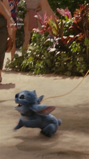 42K views · 276 reactions | Disney+ on Reels | Facebook