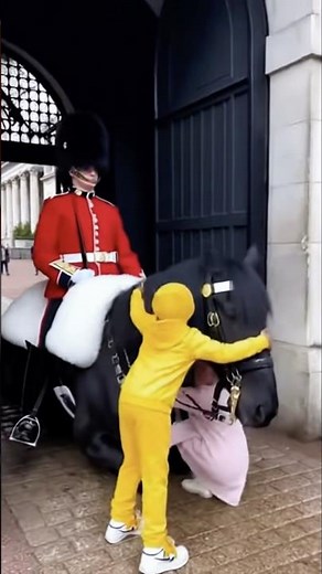 Respect #fypシ #kingsguard #horse #respect