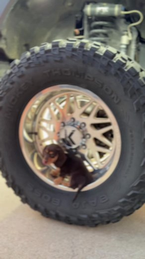 Paint-Matched Ranch Hand for F250: Dog-Friendly 67 Powerstroke Look
