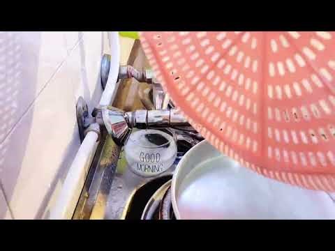 “Magic Hands: Watch Plates Shine Instantly! ✨🧼”