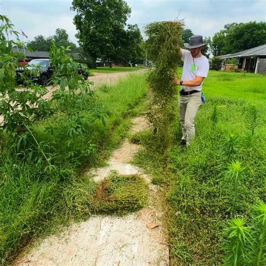53K views · 1.2K reactions | ANGRY NEIGHBOR was ON his WAY to CALL THE CITY | Lawn Care Reels | Facebook