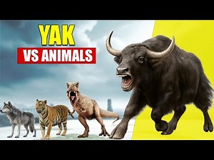 𝗬𝗮𝗸 𝘃𝘀 𝗔𝗹𝗹 𝗔𝗻𝗶𝗺𝗮𝗹𝘀 | 𝗦𝗶𝘇𝗲 𝗖𝗼𝗺𝗽𝗮𝗿𝗶𝘀𝗼𝗻 𝟮𝟬𝟮𝟱