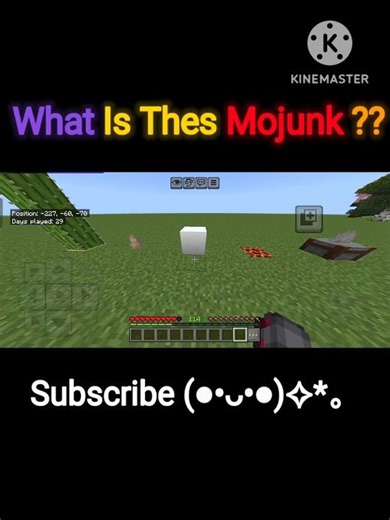 What Is Thes Mojunk ??
