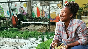 A vacant lot in the heart of Brooklyn is now a thriving aquaponics farm