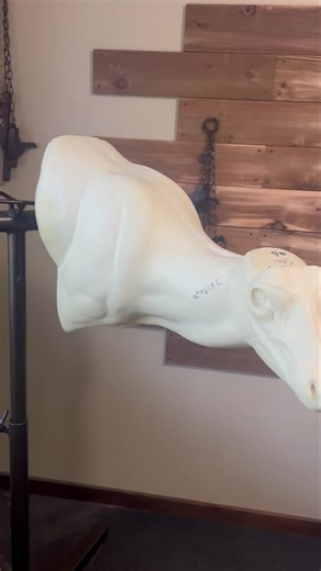 Excited to mount this one today using the Jetz extreme sneak form | Eastex Trappers and Taxidermy