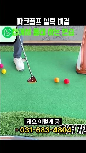 공이 3개 1만9천원 파크골프 실력 비결 집에서 몰래 하는 연습