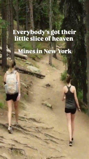 Ever explored the wild side of New York? From breathtaking hikes to peaceful lakes, there's so much