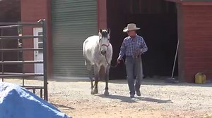 102K views · 2.7K reactions | Recently I posted a video about...