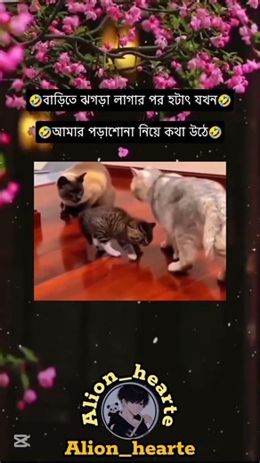বাড়িতে ঝগড়া লাগার পর হটাৎ যখন আমার পড়াশোনা নিয়ে কথা উটে তখন লে আমি 🤣🤣😩 #liveboard #eduapps #liveclas