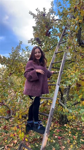 15 reactions | Apple Picking…  | Pramila Karki | Facebook