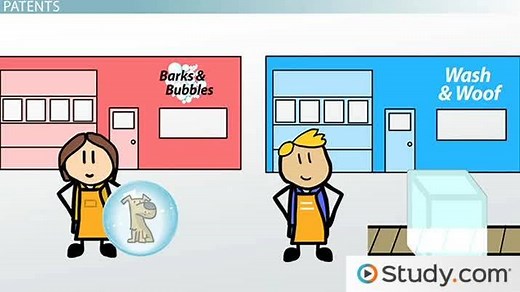 Patent Infringements: Definition and Cases