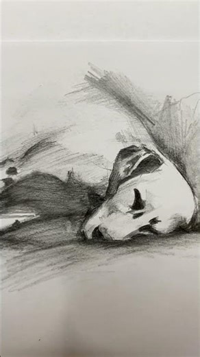 Realistic Dog Drawing Quick Dog Sketch | Easy Dog Drawing #Shorts