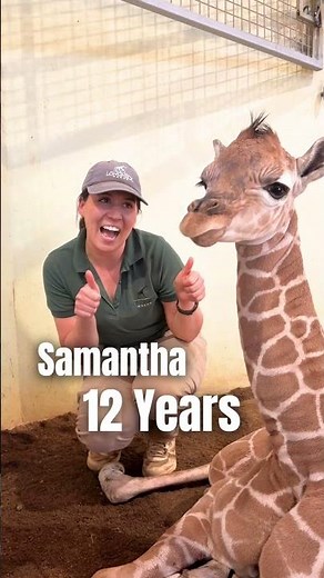 125 Year of animal Experience at Longneck Manor!