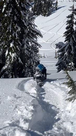 41K views · 647 reactions | @boondockingwa Alan’s day one on his new 2024 TurboR. He got in a sticky situation because that thing climbs like a mountain goat! Although we had to remove a ski, dig a mammoth hole, and wrestle like hell to get it out of the tree well I can report zero damage. Also, I accidentally deployed my airbag not once, but TWICE while helping with the sled recovery.  | Snowmobile Fails | Facebook