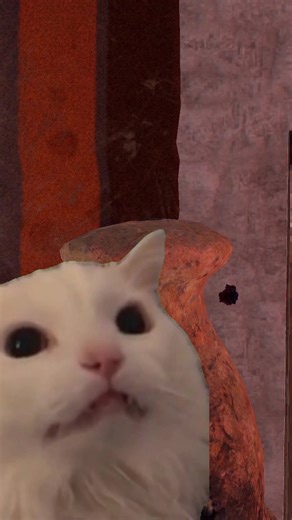 YOUR PETS ARE GETTING RAIDED!!! #RUST #rustgame #rusttok #rustclips