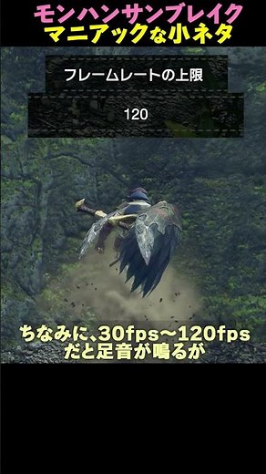 小ネタ 大社跡のバグっぽい挙動【モンハンライズサンブレイク】#小ネタ #mhr #モンハンライズサンブレイク #バグ技
