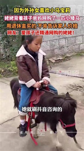 外孙女喜欢小马宝莉，姥姥网购了一匹小矮马，“不告诉家人价格”