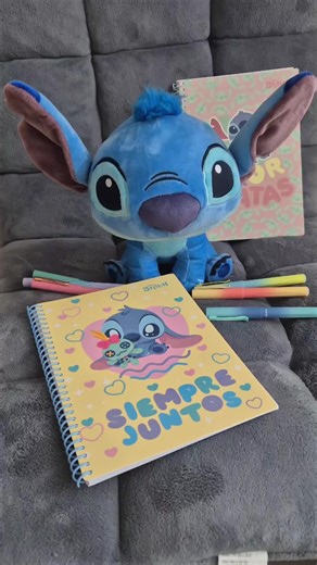 #mcneill #schreibwaren #stitch #notitzblock #tiktokmademebuyit